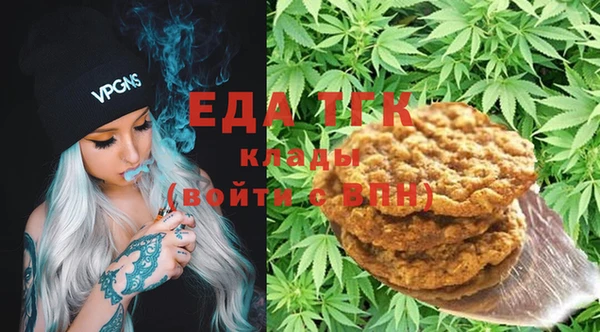 гашик Карпинск