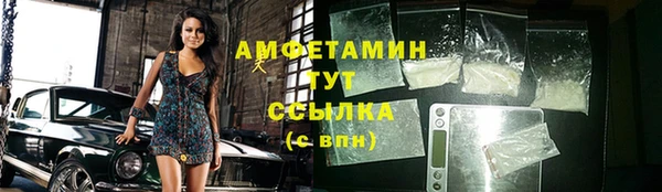 гашик Карпинск