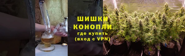 гашик Карпинск