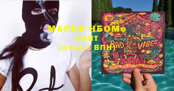 гашик Карпинск