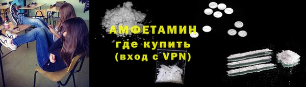 гашик Карпинск