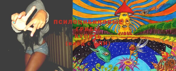 круглые Карталы