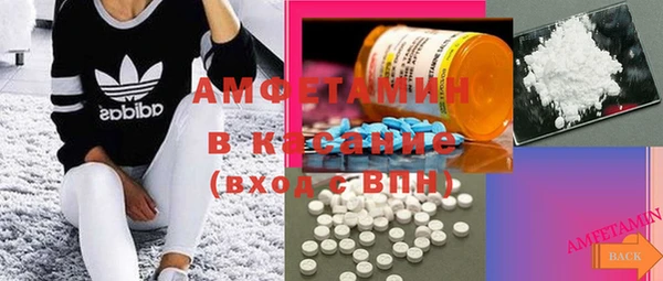 гашик Карпинск