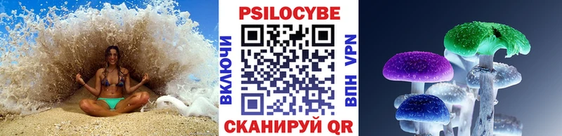Купить  Коммунар  Псилоцибиновые грибы Psilocybine cubensis 